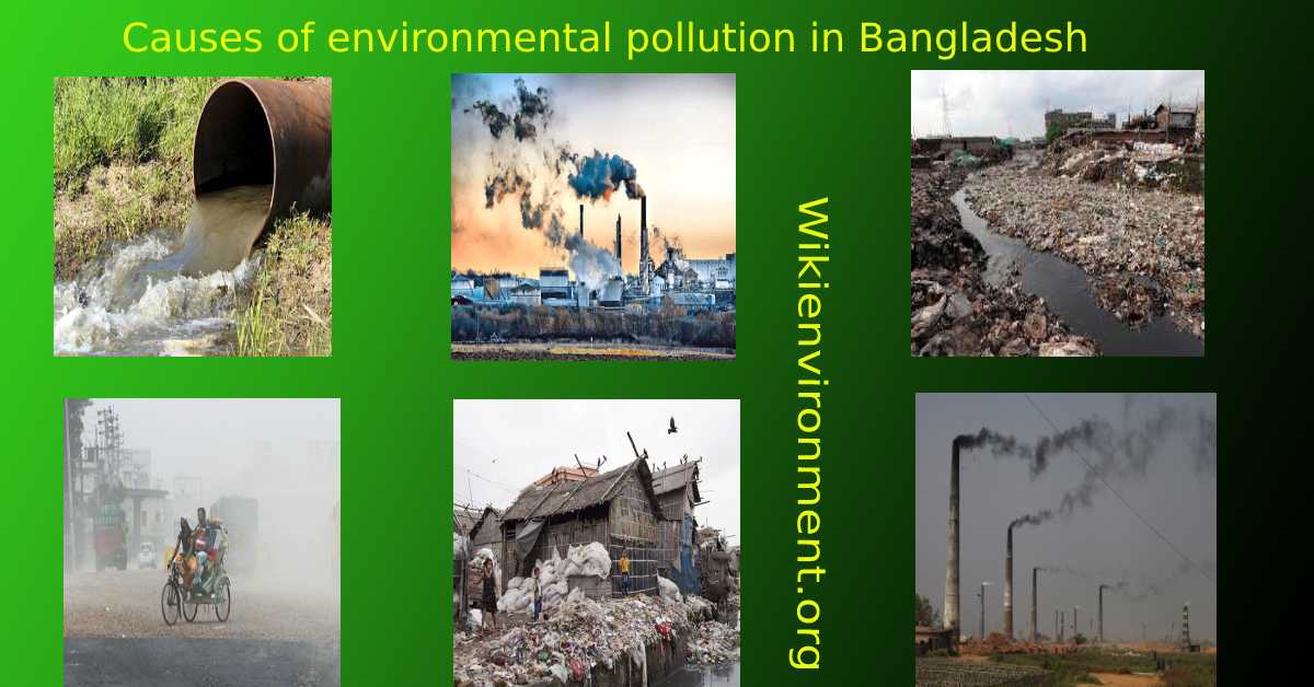 Causes of environmental pollution in Bangladesh
